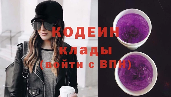 МДПВ Елабуга