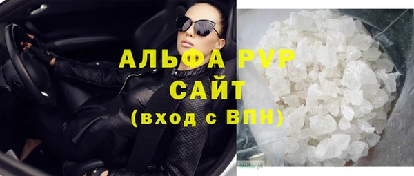 молекула духа Ельня
