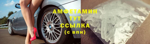 молекула духа Ельня