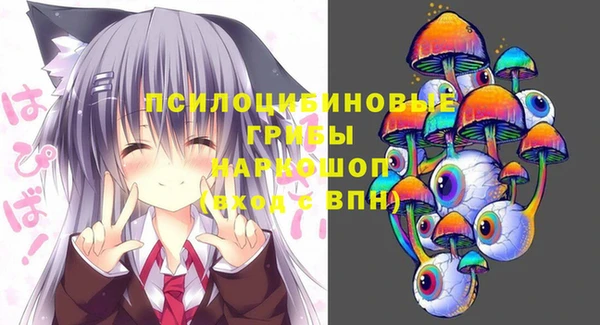 МДПВ Елабуга