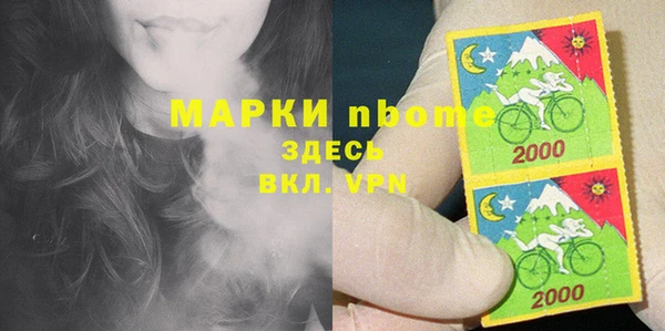 прущий лед Дмитриев