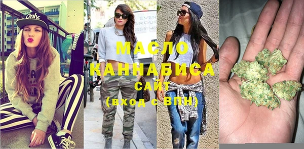 молекула духа Ельня