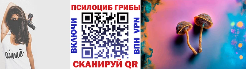 кракен tor  Бронницы  Псилоцибиновые грибы MAGIC MUSHROOMS  цена наркотик 